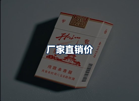 专业团队办公环境
